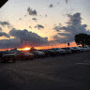 Meet your Posher, Shelby